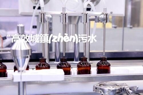 “高效城鎮(zhèn)污水處理流程，守護(hù)碧水藍(lán)天新篇章”